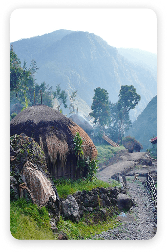 Destination